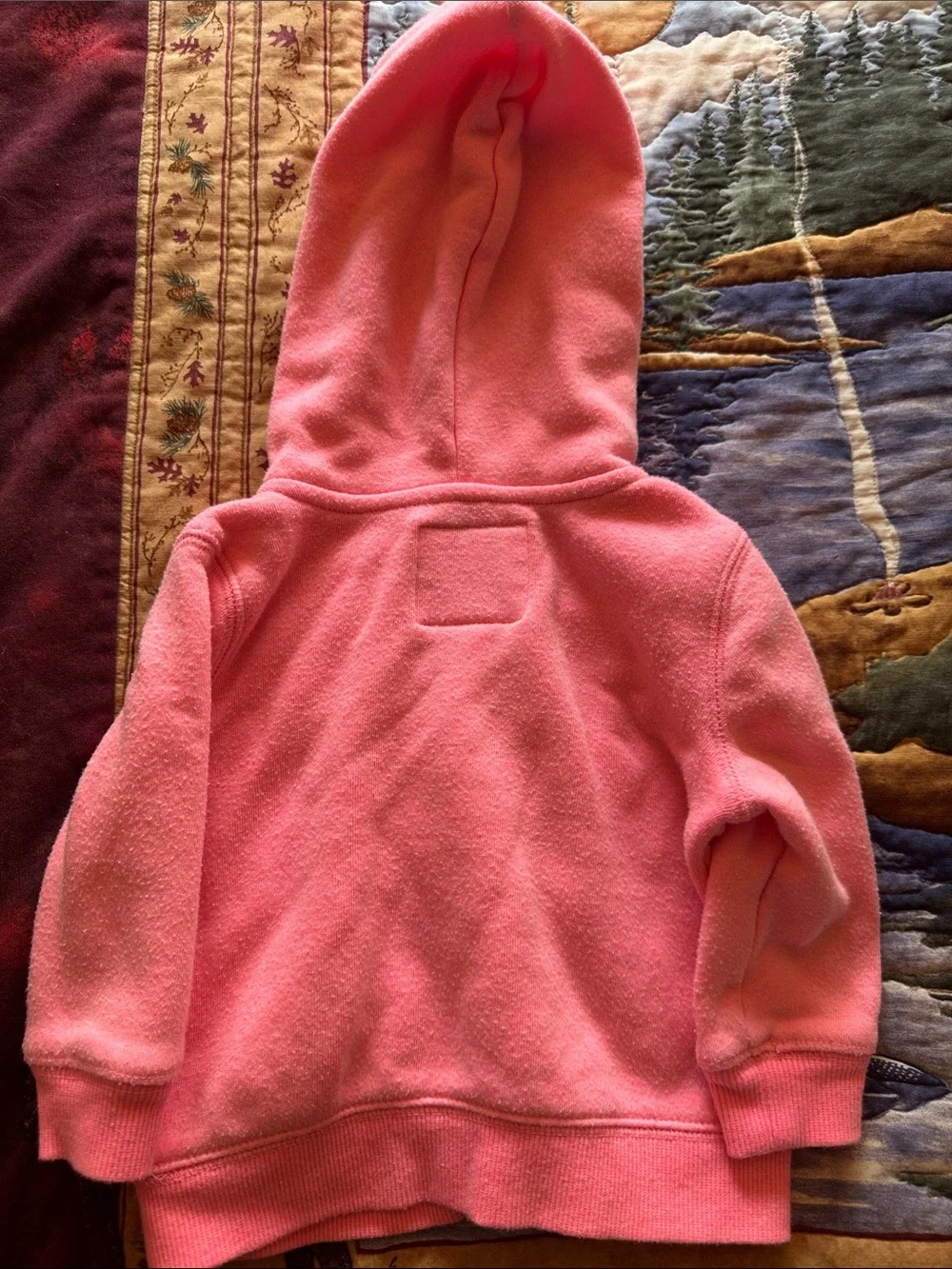 OshKosh B'gosh Bubblegum Pink Hooded Zip Sweatshirt